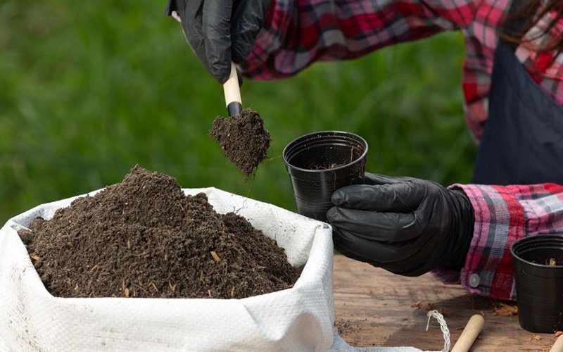 Organic Fertilizers Organic Fertilizers