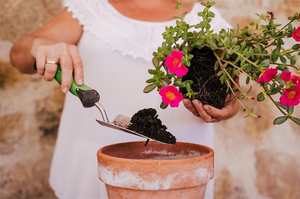 Water-soluble organic fertilizer Water-soluble organic fertilizer