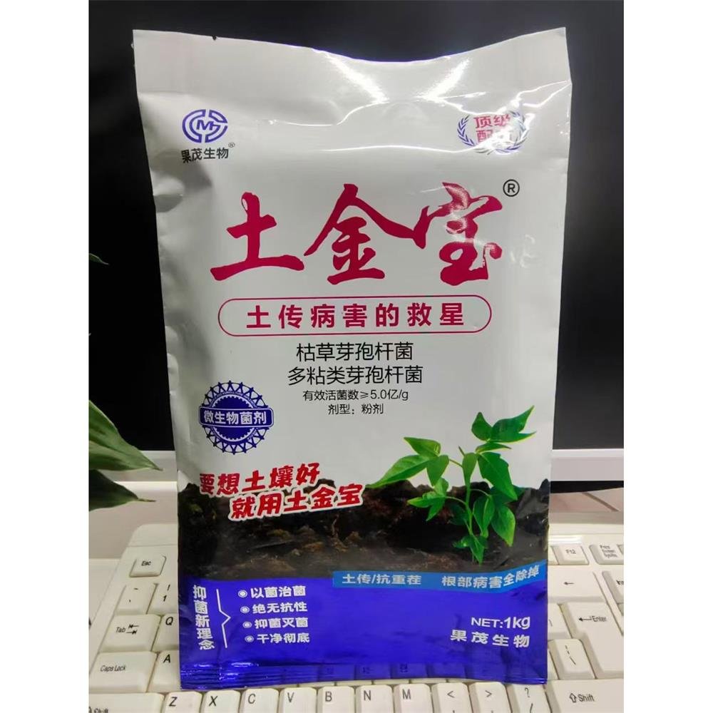 Bacillus subtilis agent